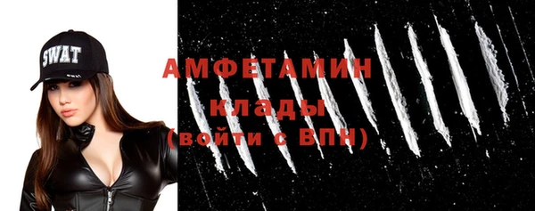 прущие грибы Михайловск