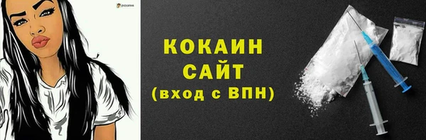 прущие грибы Михайловск
