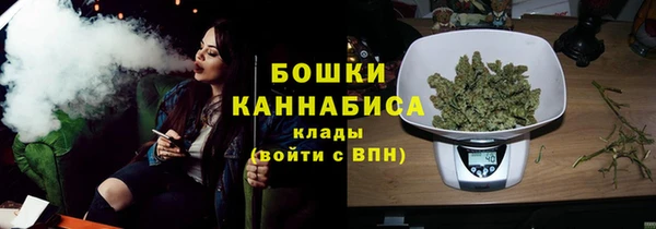 прущие грибы Михайловск