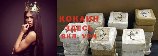 прущие грибы Михайловск
