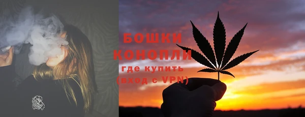 ECSTASY Вяземский