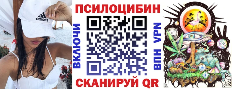 Галлюциногенные грибы GOLDEN TEACHER Каменногорск